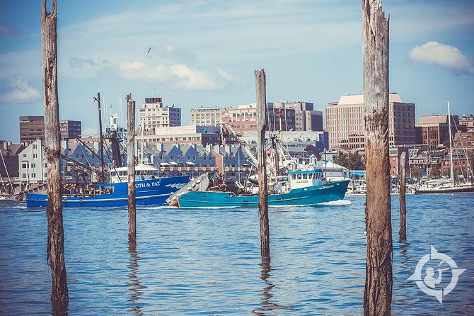 Portland Explorer | Maine History, Culture, & 3 Lighthouses Tour - Spring Point Ledge and Bug Light: Short Stops, Big Breakwater Views