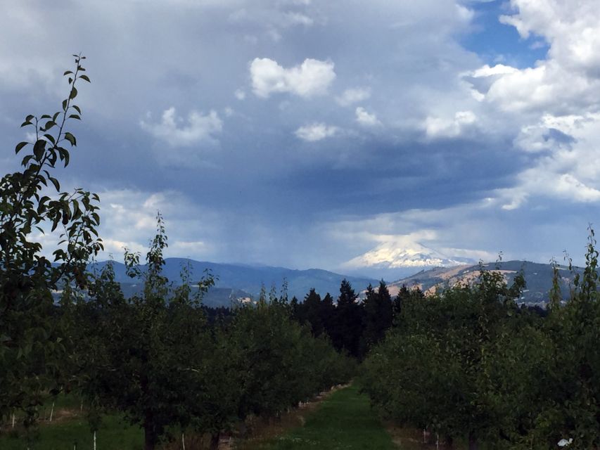 Portland: Mount Hood Wine and Waterfalls Full-Day Tour - Should you book this Portland to Mount Hood wine and waterfalls tour?