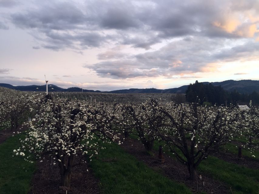 Portland: Mount Hood Wine and Waterfalls Full-Day Tour - The Columbia Gorge drive and Multnomah Falls timing