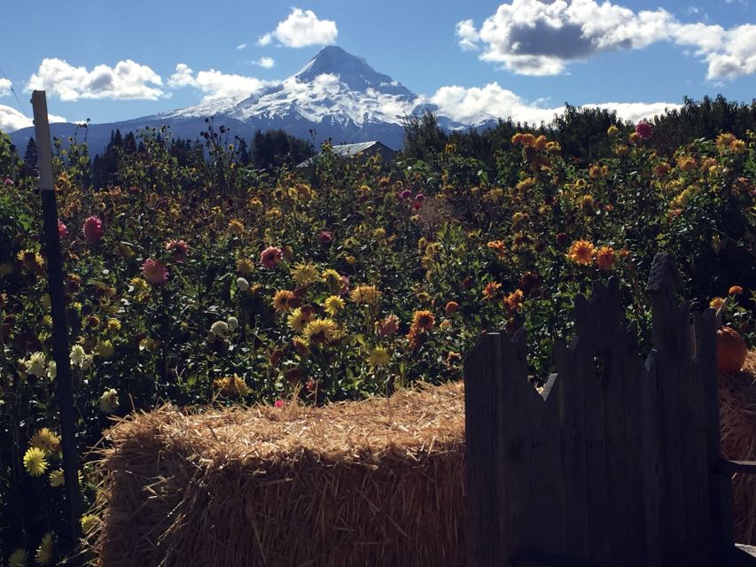 Portland: Mount Hood Wine and Waterfalls Full-Day Tour - What to bring for Mount Hood (so you don’t suffer quietly)