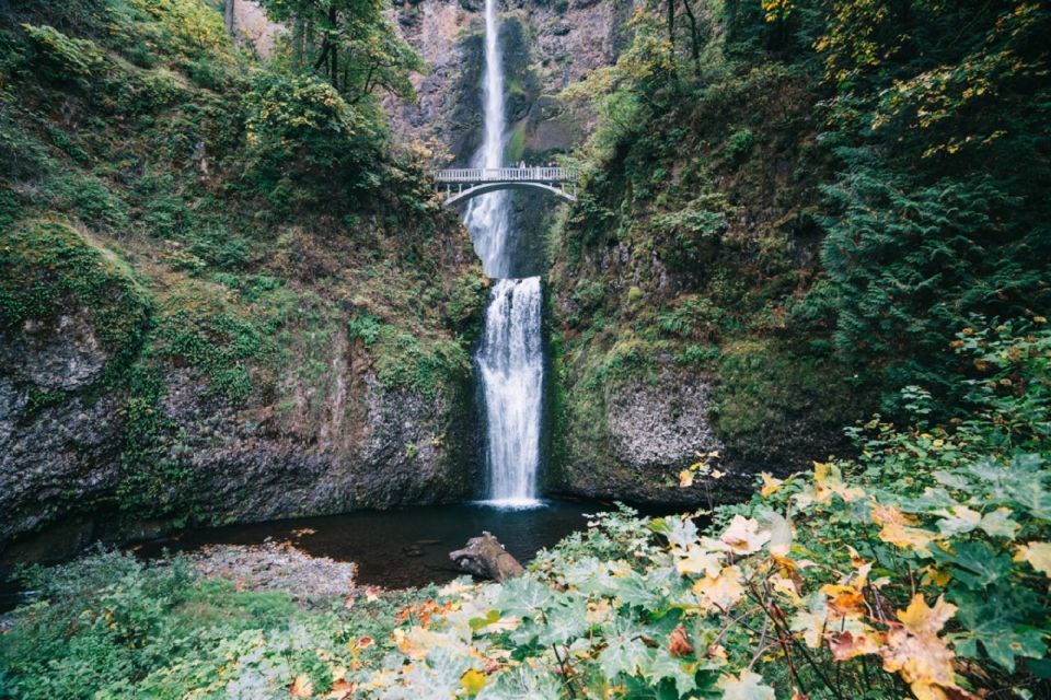 Portland: Mt. Hood Day Tour - Portland to the Columbia River Gorge: the morning drive sets the tone