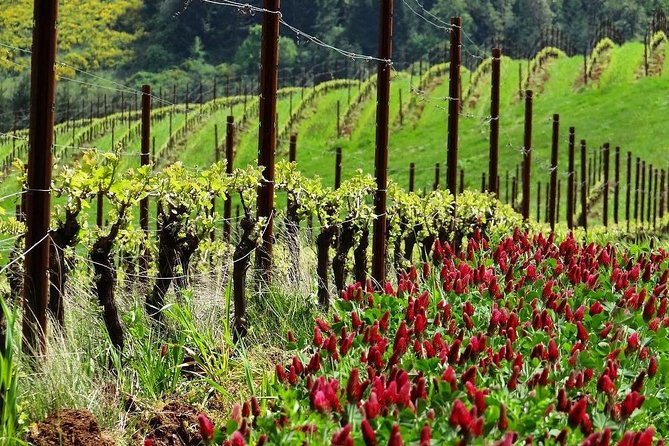 Private Customized Willamette Valley Wine Maker Tour with lunch - How lunch works in real life (and why it’s not just a break)