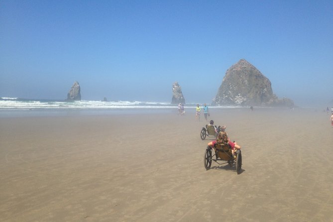 Private Oregon Coastal Tour to Cannon Beach and Haystack Rock - Oswald West State Park: rainforest trails to a more secluded beach