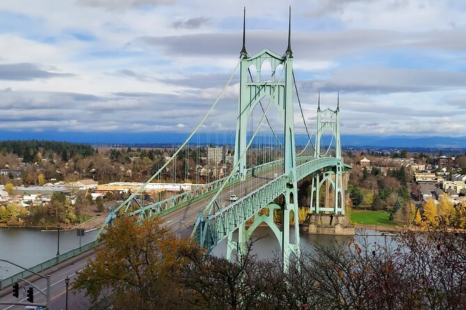 Private Portland Discovery Tour - OHSU skybridge and the Portland Aerial Tram: Portland from above
