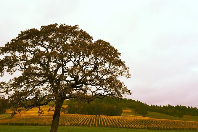 Private Willamette Valley Wine Tour from Portland (All tasting fees included) - The vehicle and guide: what a private 4x4 setup changes