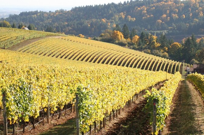 Private Willamette Valley Wine Tour from Portland (All tasting fees included) - Should you book this private Willamette Valley wine tour from Portland?