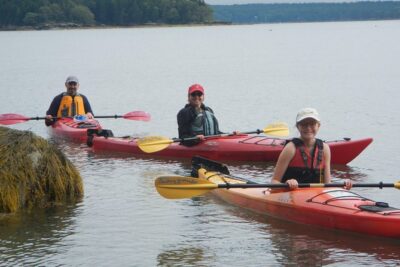 Sea Kayak to an Island Tour in Casco Bay - NW Casco Bay paddle time: wildlife, working water, and the guide’s spotting game
