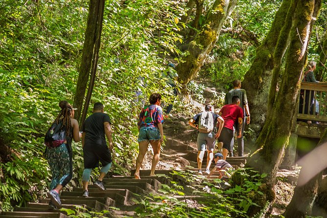 See Multnomah, two waterfalls & Vista House (Transport Included) - Stop 2: Bridal Veil Falls State Park and the 1.2-Mile Roundtrip