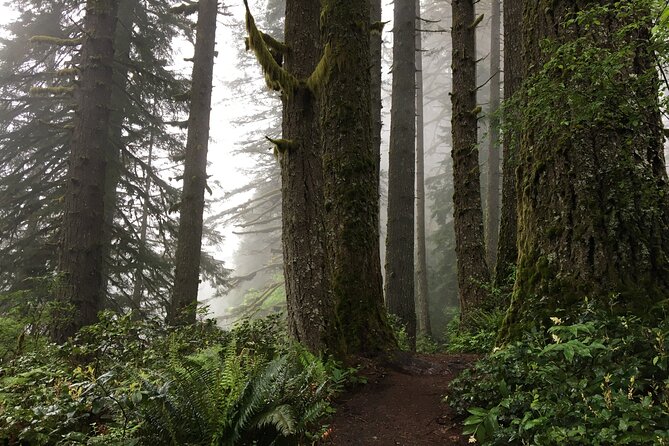Silver Falls Waterfall Hiking Tour from Portland - Tour value for $99: what’s included, what to budget, and why it adds up