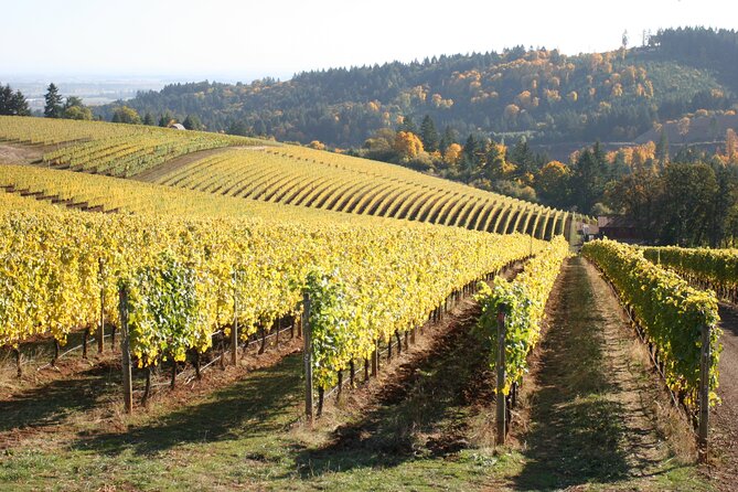 Small Group: Willamette Valley Wine Tour From Portland (Tasting Fees Included) - Lunch timing: you’ll want a plan since it’s not included