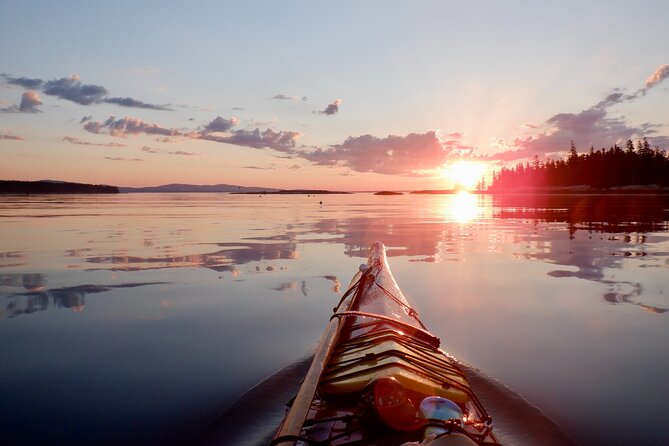 Sunset Sea Kayak Tour of Casco Bay - Wildlife stop in Casco Bay: seals, seabirds, and more