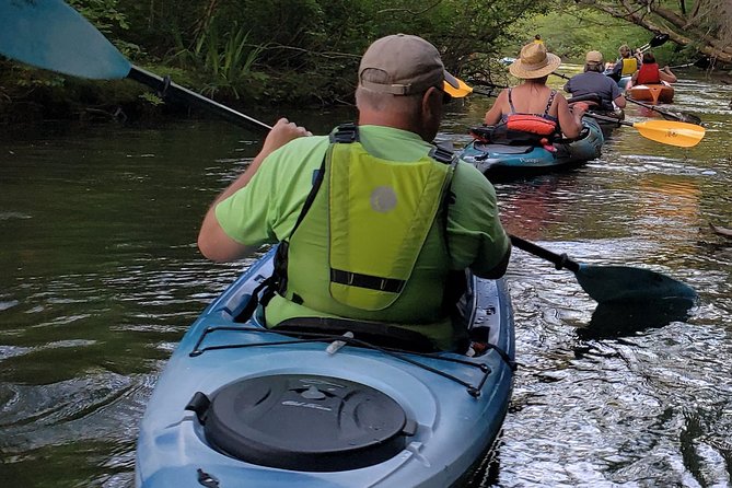 Sunset Tour by Kayak on Sebago Lake Maine - Paddling on Sebago Lake: Birds, Fish, and Turtles in the Golden Light
