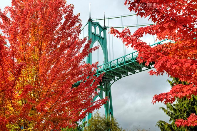 'The Best of Portland' City Tour: Small-Group Sightseeing Tour - Key takeaways before you go