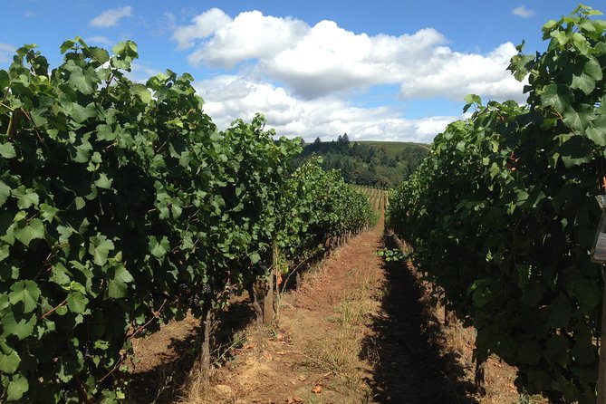 Willamette Valley Wine Tasting Tour from Portland - How your guide makes the Willamette Valley click