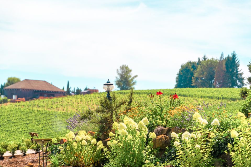 Willamette Valley Wine Tour - Final Call: Should You Book This Willamette Valley Day?