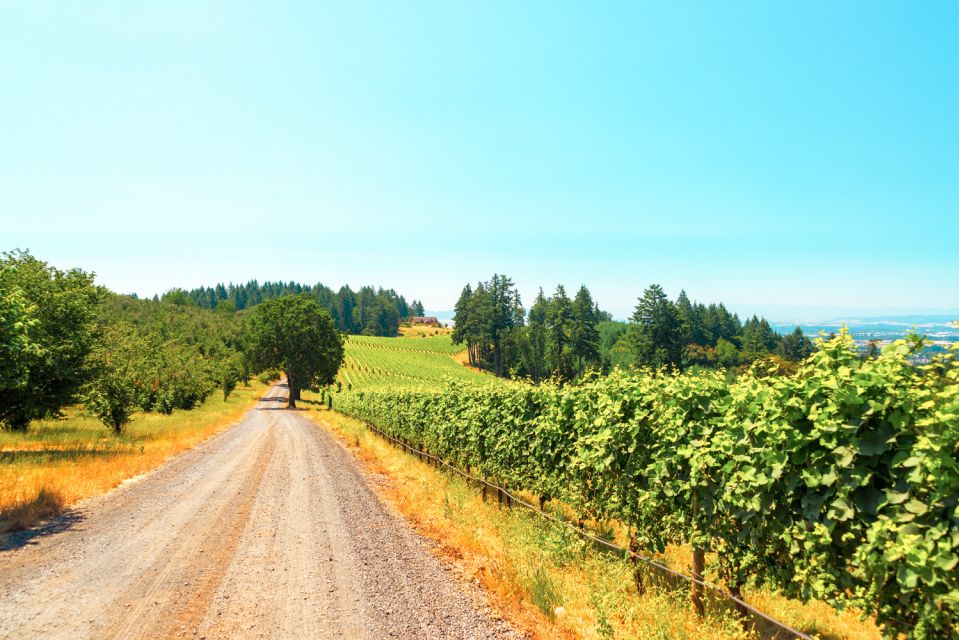 Willamette Valley Wine Tour - Who This Willamette Valley Wine Tour Is For