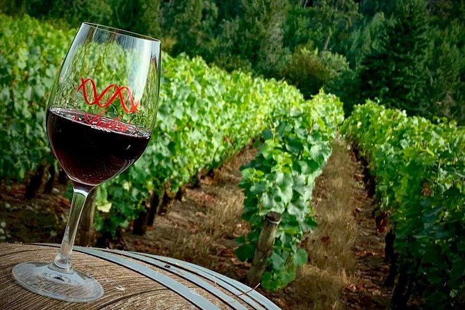Willamette Valley Wine Tour from Portland - Wine Tastings, Fees, and How to Taste Smart Without Overspending
