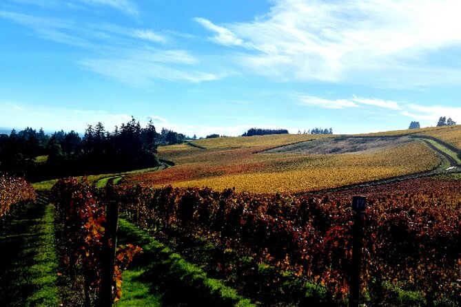 Willamette Valley Wine Tour with Lunch - Timing and pacing: a full day that should feel relaxed