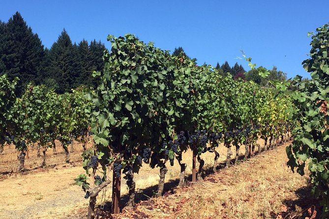 Willamette Valley Wine & Whisky - Guides Who Keep the Day Moving: The Human Side